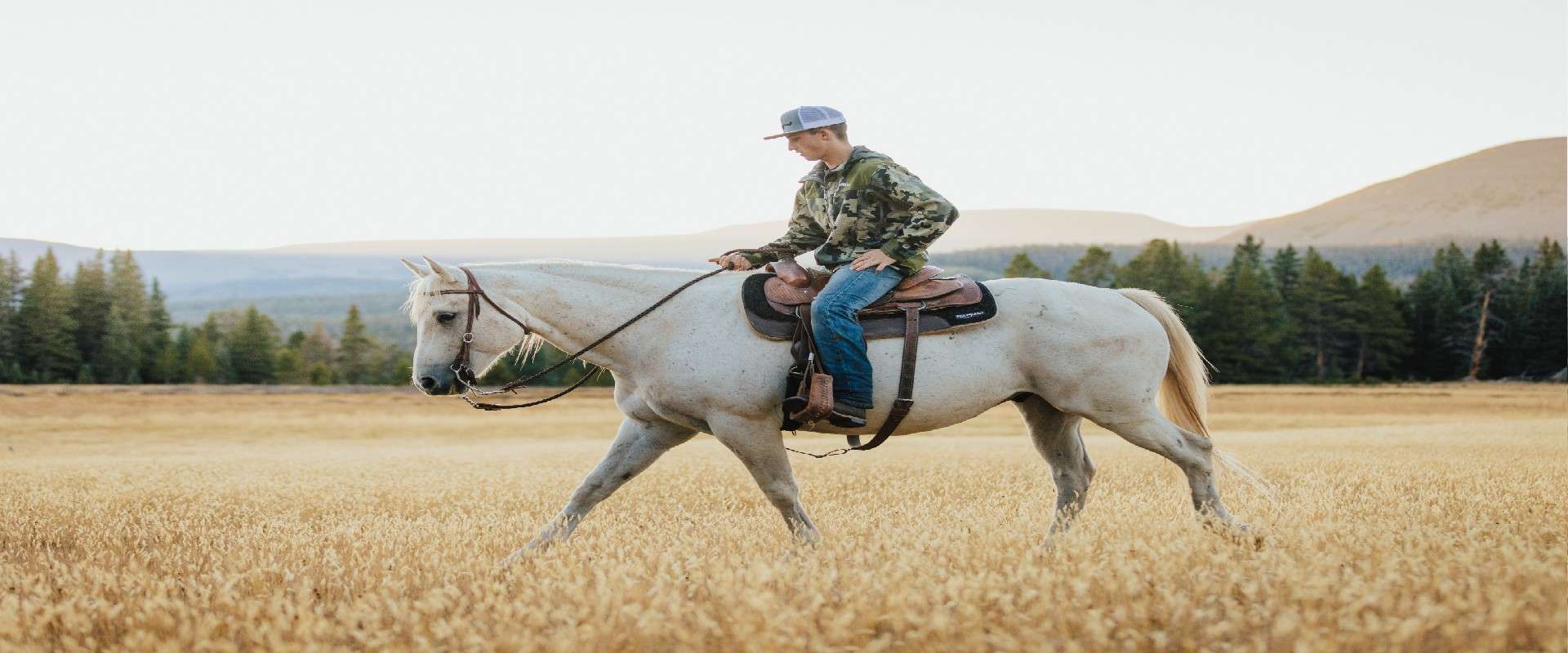 horse camp resized 1920.jpg horse camp resized 1920.jpg